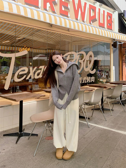 Zip-Up Stand Collar Knit Sweater Jacket C0021