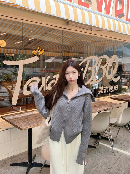 Zip-Up Stand Collar Knit Sweater Jacket C0021