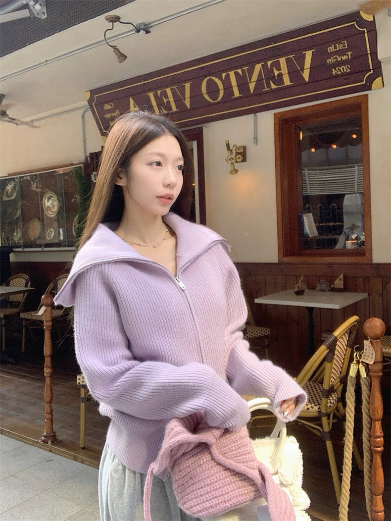 Zip-Up Stand Collar Knit Sweater Jacket C0021