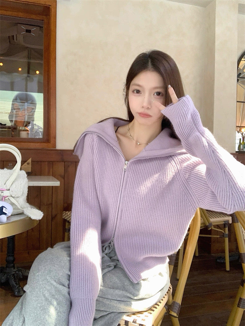 Zip-Up Stand Collar Knit Sweater Jacket C0021