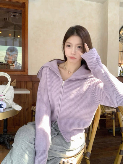 Zip-Up Stand Collar Knit Sweater Jacket C0021