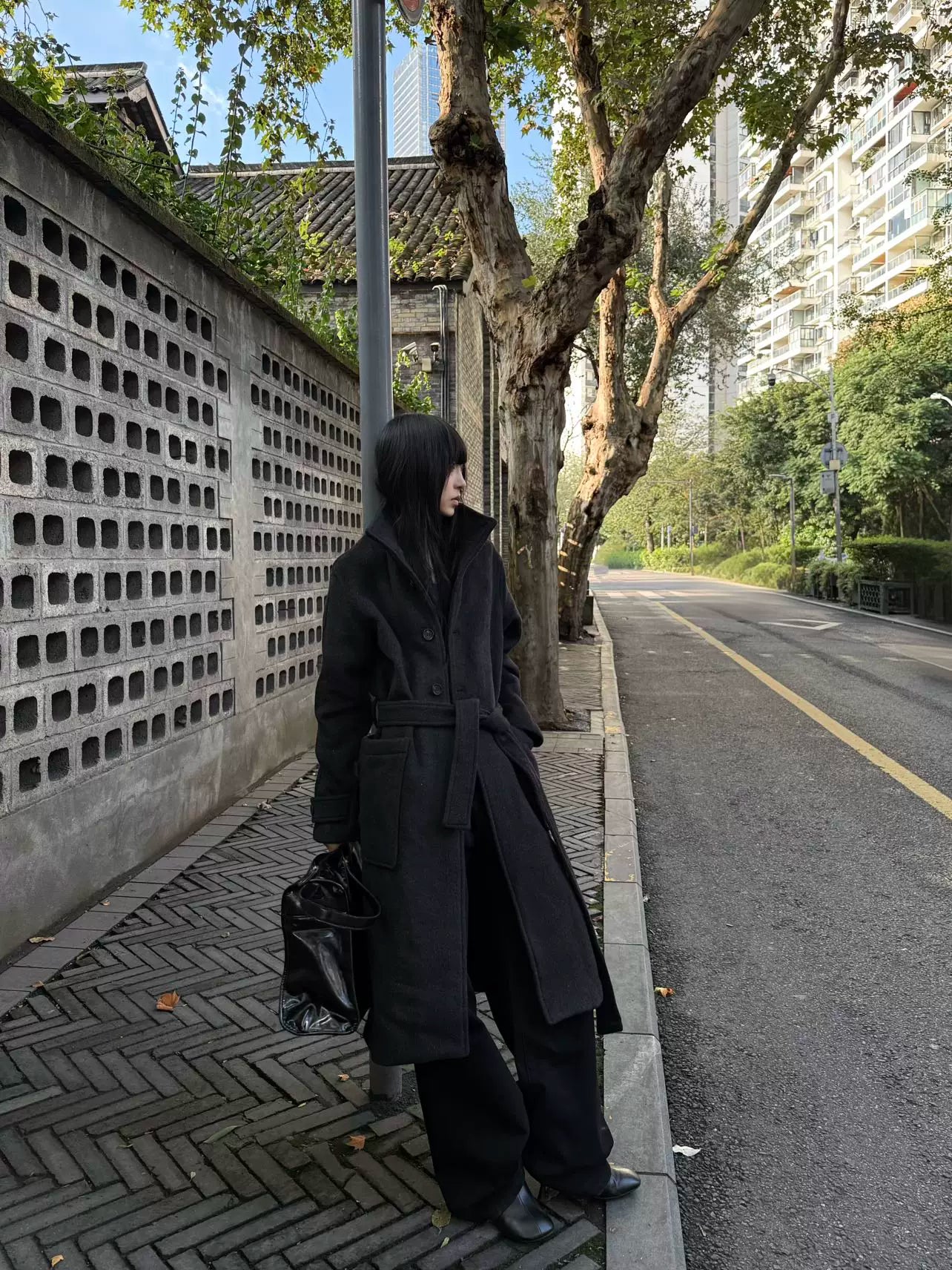 Balmacan stand-up coat f0268